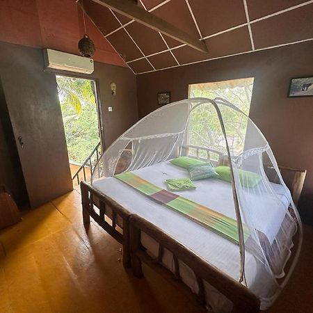 Yala Eco Tree House New Otel Tissamaharama Dış mekan fotoğraf