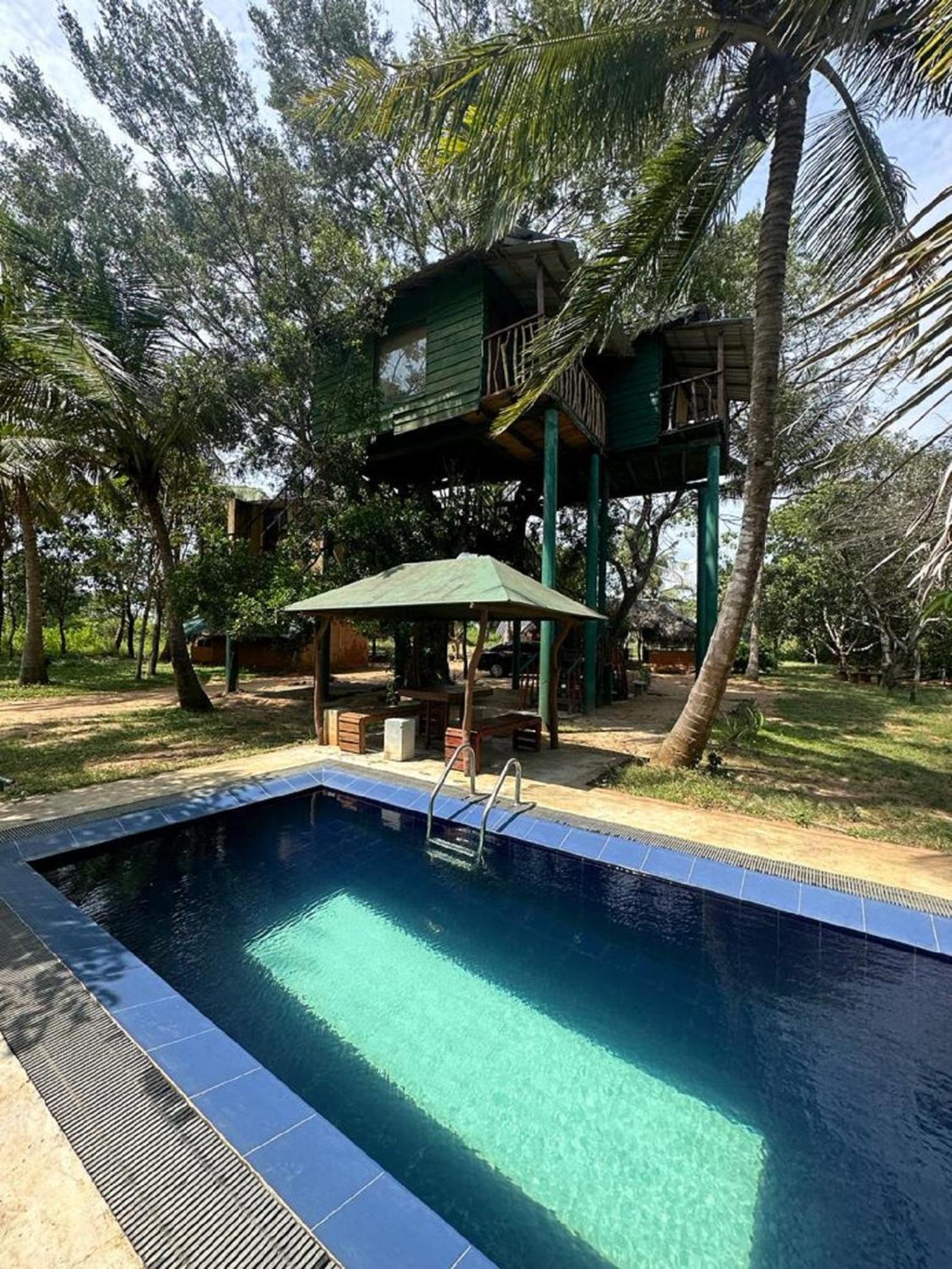 Yala Eco Tree House New Otel Tissamaharama Dış mekan fotoğraf