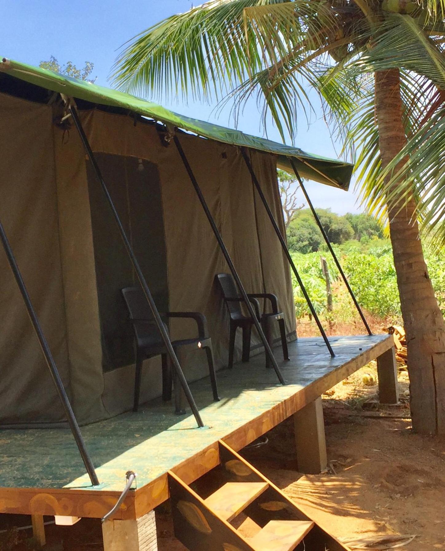 Yala Eco Tree House New Otel Tissamaharama Dış mekan fotoğraf