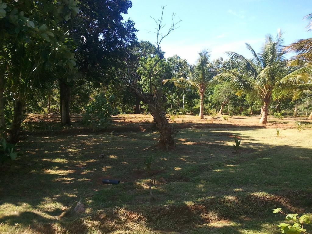 Yala Eco Tree House New Otel Tissamaharama Dış mekan fotoğraf
