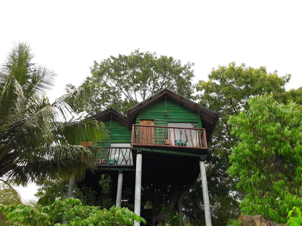 Yala Eco Tree House New Otel Tissamaharama Dış mekan fotoğraf