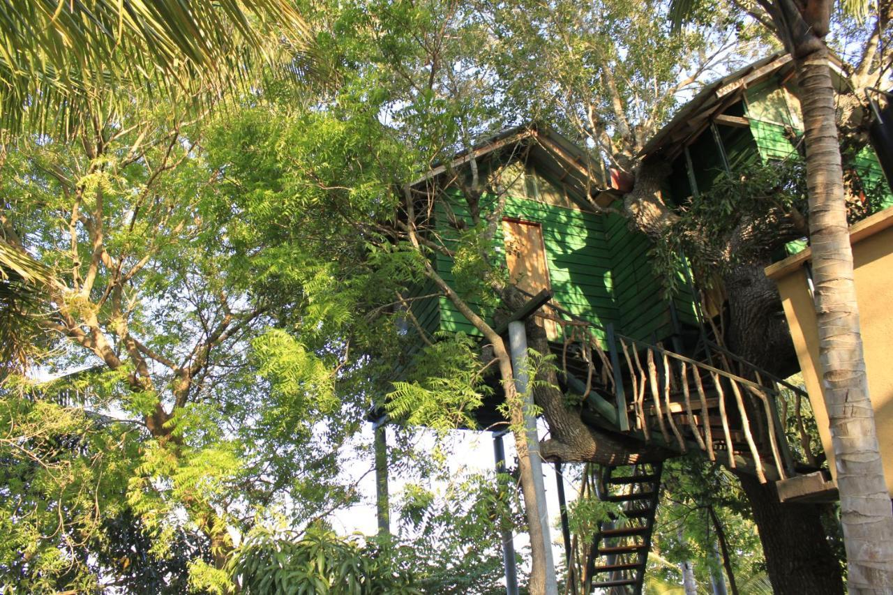 Yala Eco Tree House New Otel Tissamaharama Dış mekan fotoğraf