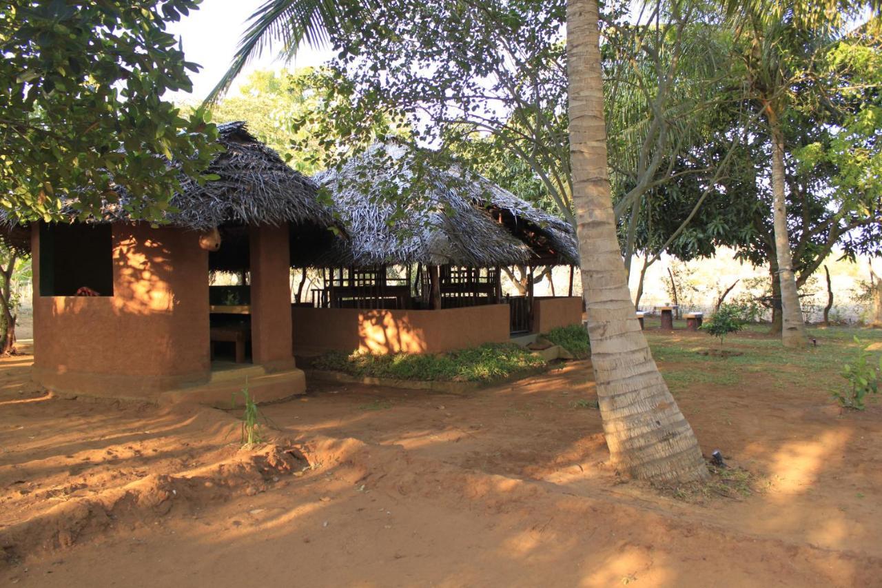 Yala Eco Tree House New Otel Tissamaharama Dış mekan fotoğraf