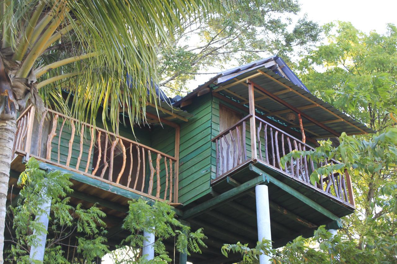 Yala Eco Tree House New Otel Tissamaharama Dış mekan fotoğraf