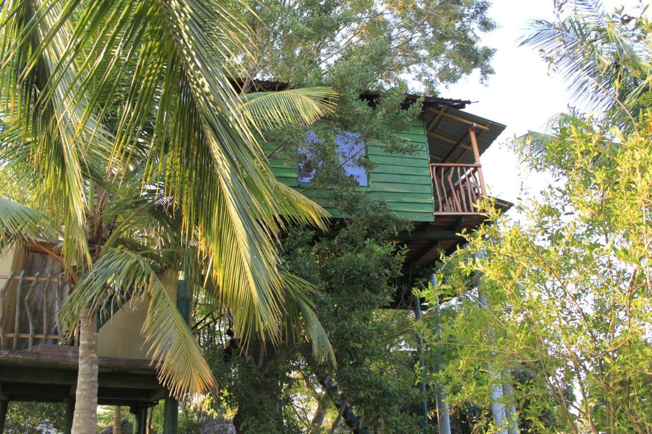 Yala Eco Tree House New Otel Tissamaharama Dış mekan fotoğraf