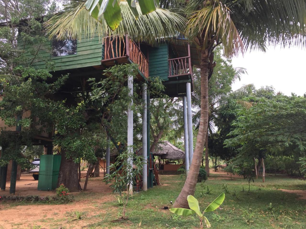 Yala Eco Tree House New Otel Tissamaharama Dış mekan fotoğraf