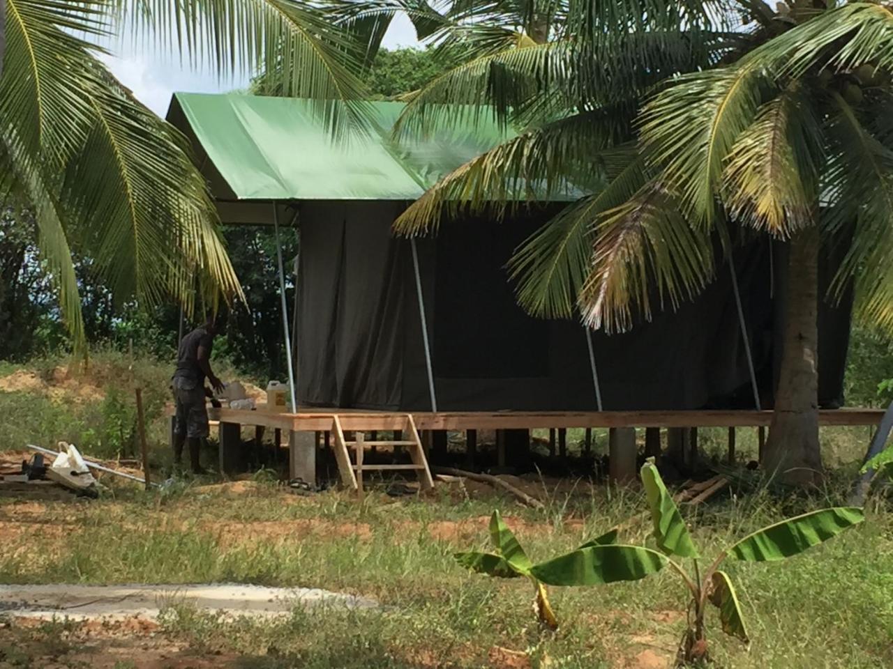 Yala Eco Tree House New Otel Tissamaharama Dış mekan fotoğraf