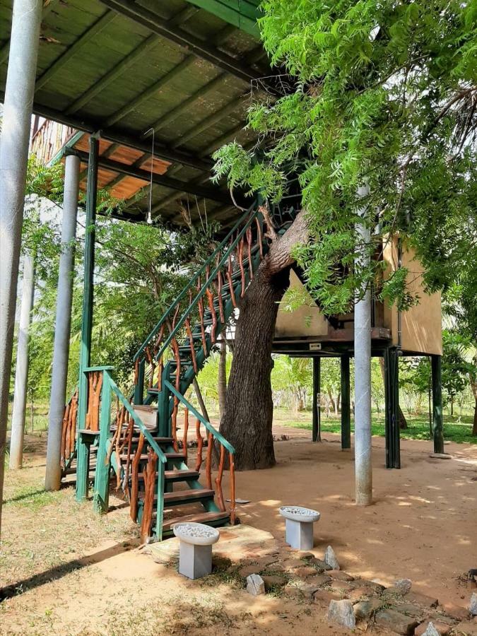 Yala Eco Tree House New Otel Tissamaharama Dış mekan fotoğraf