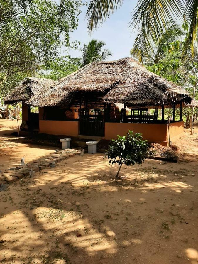 Yala Eco Tree House New Otel Tissamaharama Dış mekan fotoğraf