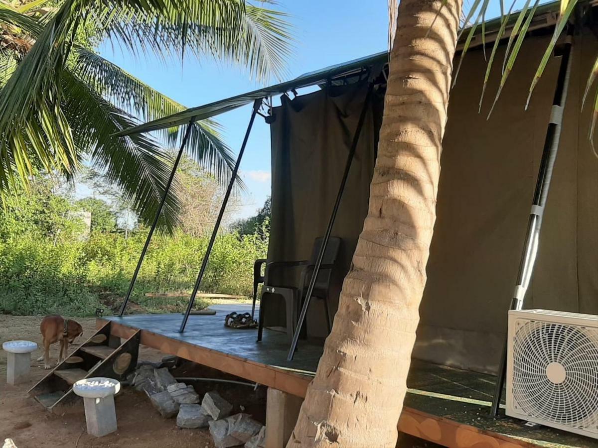 Yala Eco Tree House New Otel Tissamaharama Dış mekan fotoğraf