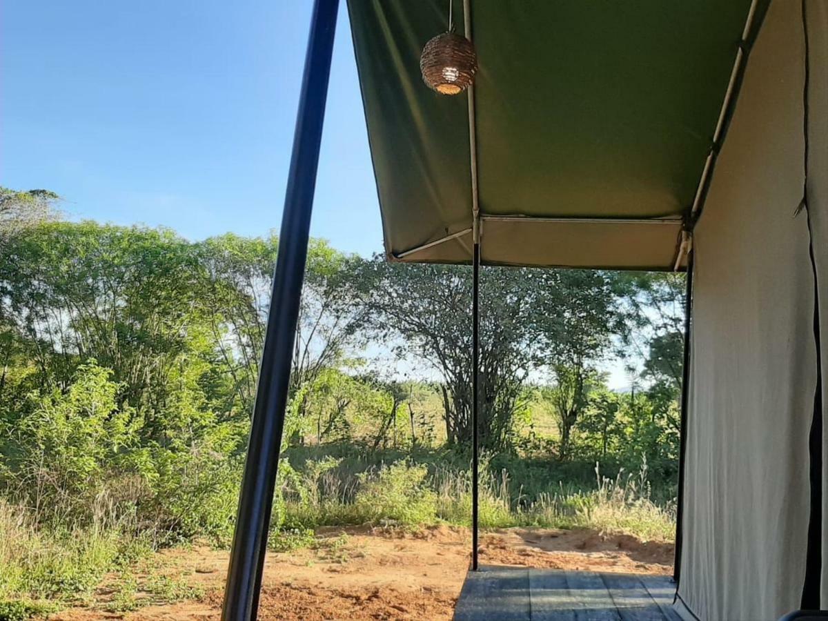 Yala Eco Tree House New Otel Tissamaharama Dış mekan fotoğraf