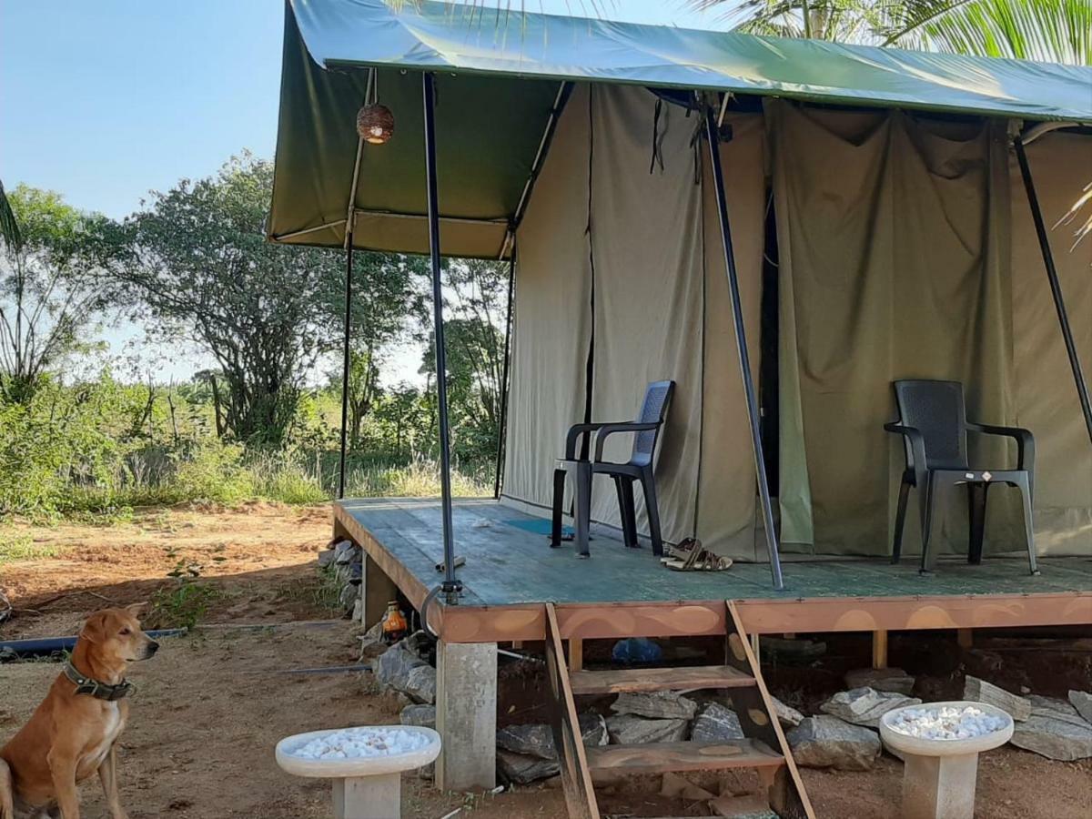 Yala Eco Tree House New Otel Tissamaharama Dış mekan fotoğraf