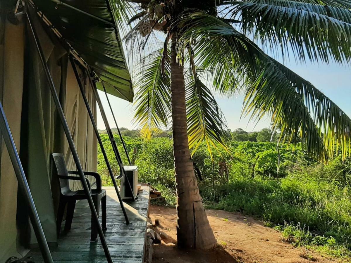 Yala Eco Tree House New Otel Tissamaharama Dış mekan fotoğraf