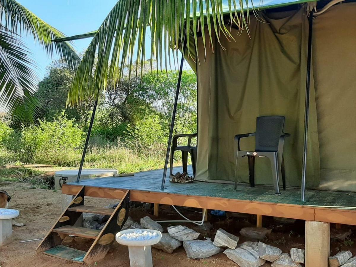 Yala Eco Tree House New Otel Tissamaharama Dış mekan fotoğraf