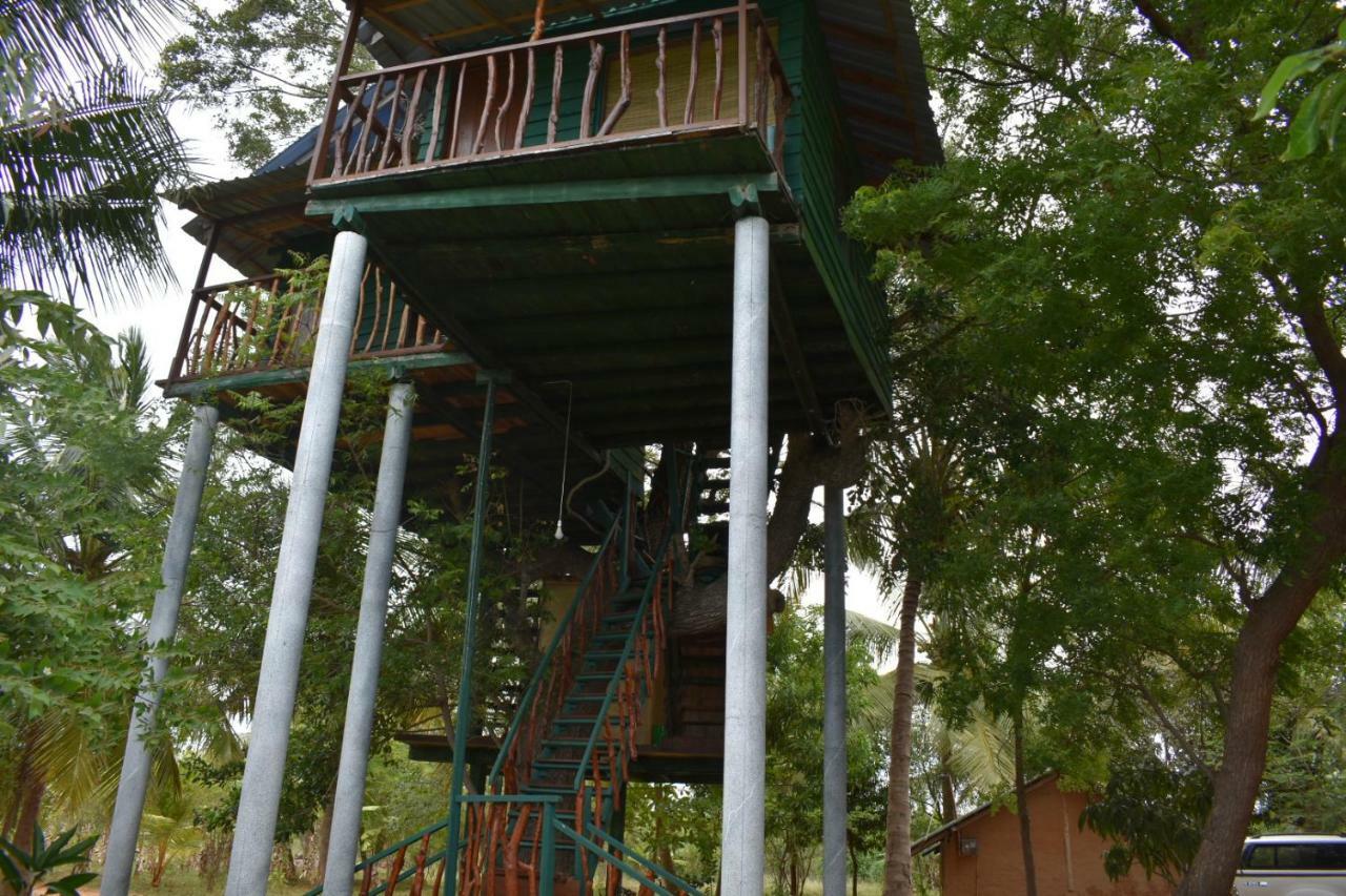 Yala Eco Tree House New Otel Tissamaharama Dış mekan fotoğraf