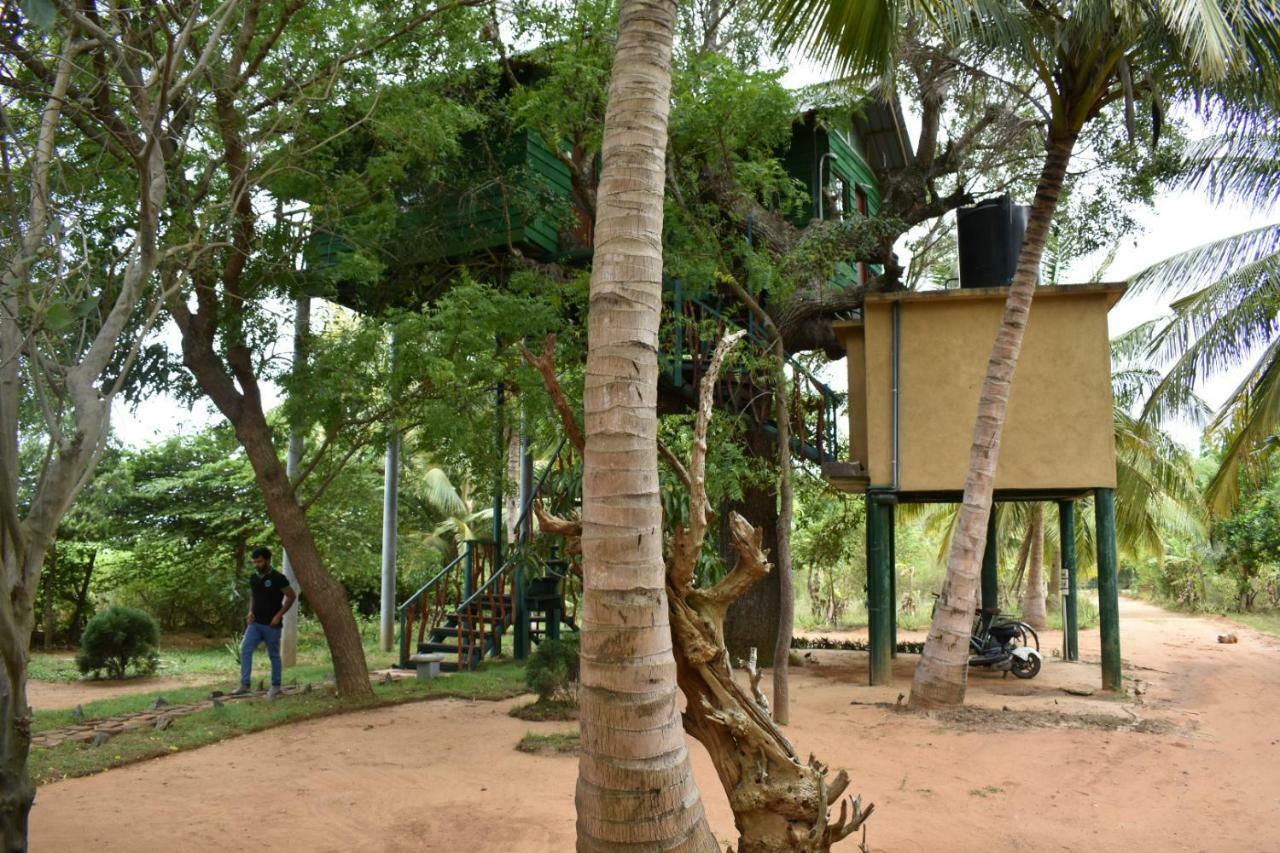 Yala Eco Tree House New Otel Tissamaharama Dış mekan fotoğraf